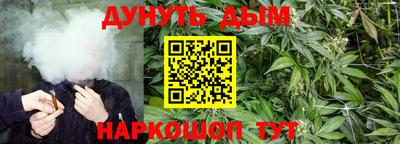 бошки Кинель