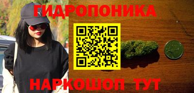 эйфоретик Кимры